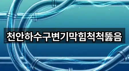 천안하수구변기막힘척척뚫음