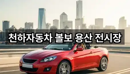 용산동5가 자동차전시장 어디가 좋을까? 5곳