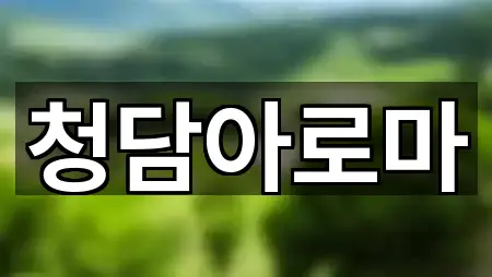 처인구 모현읍 마사지 5곳 주소 정리