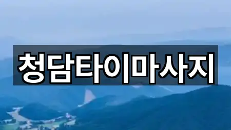 항동5가 에스테틱 5곳 요약 정리