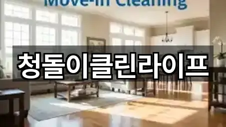 실시간 업데이트: 충남 천안시 서북구 와촌동 청소업체 5곳