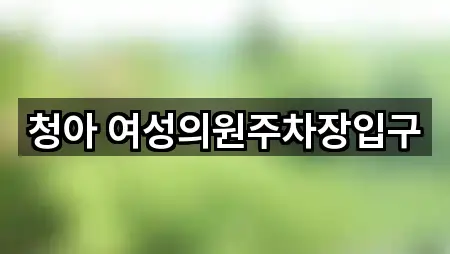 청아 여성의원주차장입구