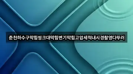 춘천하수구막힘씽크대막힘변기막힘고압세척내시경촬영다뚜러