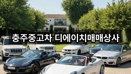 충주중고차 디에이치매매상사