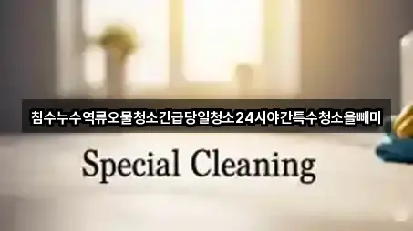 침수누수역류오물청소긴급당일청소24시야간특수청소올빼미