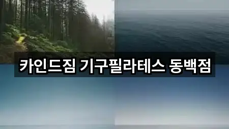 카인드짐 기구필라테스 동백점