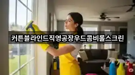 퀵 가이드 경기 성복동 청소업체 5곳