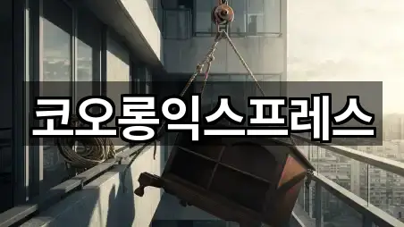 코오롱익스프레스