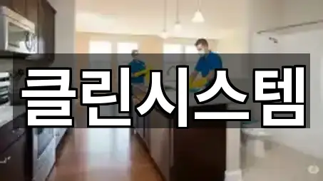 클린시스템
