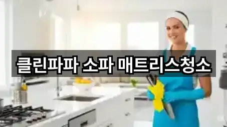 제주특별자치도 제주시 도평동 청소업체 빠른 연결 5곳