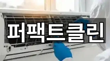 아카이브 | 경기 양주시 회정동청소 5곳