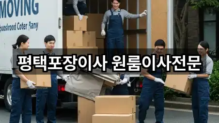 지금 주변 경기 평택시 원룸이사 4곳