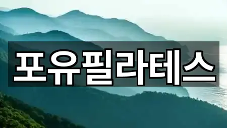 포유필라테스