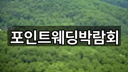 서구 만년동 웨딩박람회 위치/연락처 1건