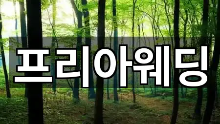 프리아웨딩