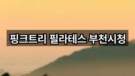 경기도 중동 필라테스 실시간 영업 5곳