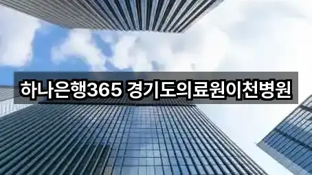 하나은행365 경기도의료원이천병원
