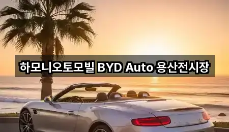 하모니오토모빌 BYD Auto 용산전시장