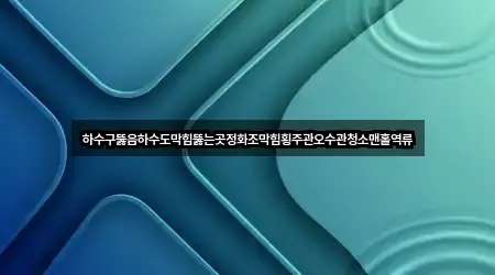 하수구뚫음하수도막힘뚫는곳정화조막힘횡주관오수관청소맨홀역류