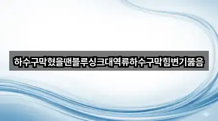 하수구막혔을땐블루싱크대역류하수구막힘변기뚫음