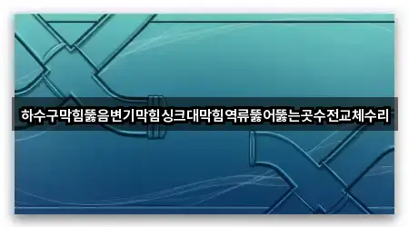 하수구막힘뚫음변기막힘싱크대막힘역류뚫어뚫는곳수전교체수리