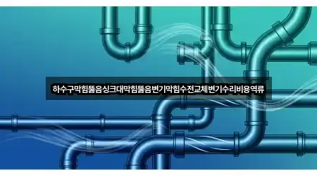 하수구막힘뚫음싱크대막힘뚫음변기막힘수전교체변기수리비용역류
