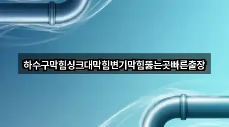 하수구막힘싱크대막힘변기막힘뚫는곳빠른출장