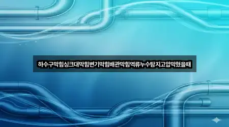 하수구막힘싱크대막힘변기막힘배관막힘역류누수탐지고압막혔을때