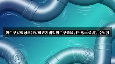 하수구막힘싱크대막힘변기막힘하수구뚫음배관청소설비누수탐지