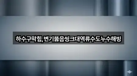 하수구막힘,변기뚫음씽크대역류수도누수해빙