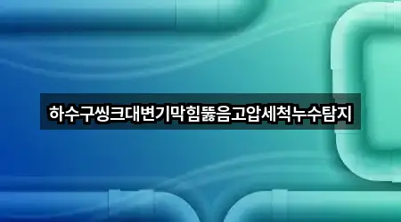 하수구씽크대변기막힘뚫음고압세척누수탐지