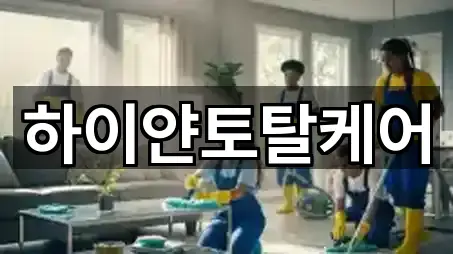 전북특별자치도 익산시 송학동 청소업체 5곳 길안내 모음