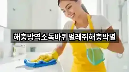 서울특별시 상왕십리동 청소 가격 비교 5곳