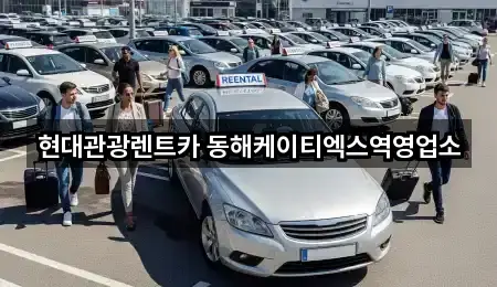강원특별자치도 동해 용정동 장기렌트카 2곳 전체 모음