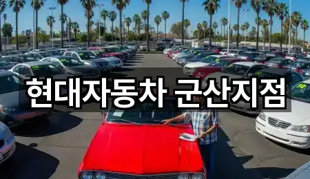 군산 수송동 자동차전시장 거리순 4곳