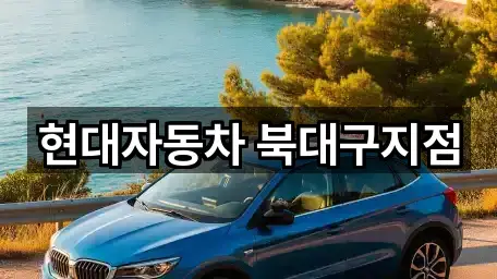 1곳 대구 원대동3가 자동차전시장 지도 바로가기