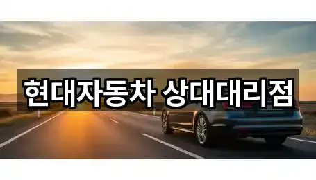 현대자동차 상대대리점