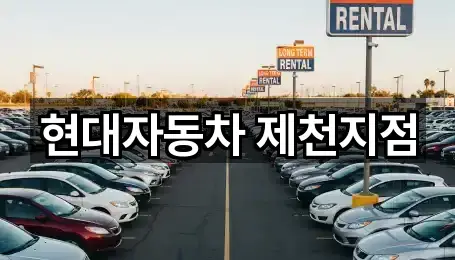 브리핑 | 충청북도 제천 신월동 자동차전시장 3곳