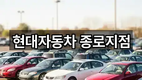 요약 브리프: 종로구 세종로 자동차전시장 1곳