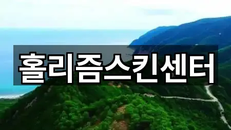 홀리즘스킨센터