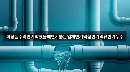 화장실수리변기막혔을때변기뚫는업체변기막힘변기역류변기누수