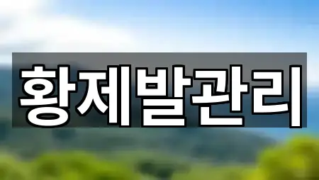 아카이브 | 강원특별자치도 영귀미면 에스테틱 5곳