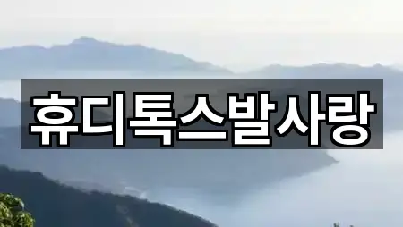 휴디톡스발사랑