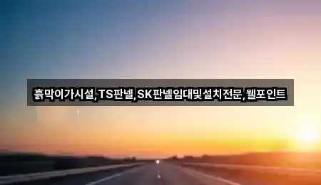 흙막이가시설,TS판넬,SK판넬임대및설치전문,웰포인트
