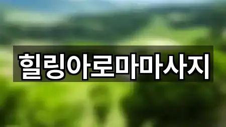 전라남도 경동2가 에스테틱 문의 폭주 5곳