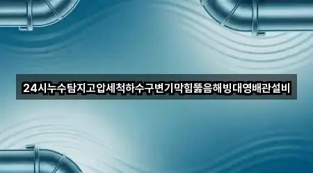 24시누수탐지고압세척하수구변기막힘뚫음해빙대영배관설비