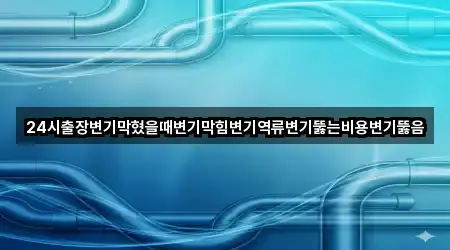 24시출장변기막혔을때변기막힘변기역류변기뚫는비용변기뚫음