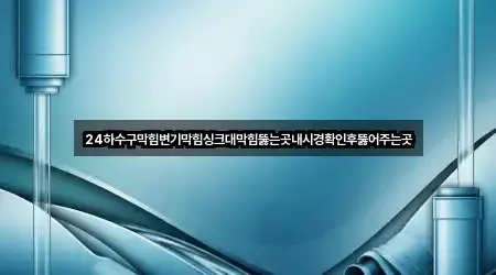 24하수구막힘변기막힘싱크대막힘뚫는곳내시경확인후뚫어주는곳