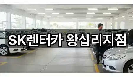 서울특별시 성동구 사근동 장기렌트카 신규 등록 3곳